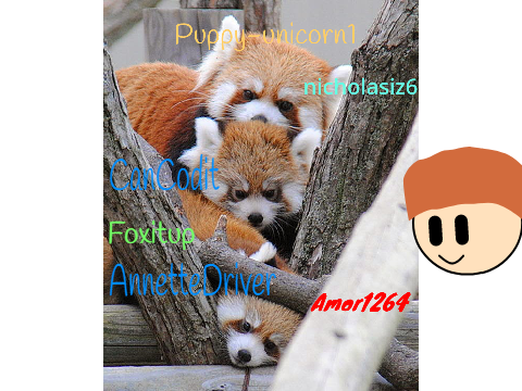 SIGN IF YOU LOVE RED PANDAS!!! Remixed Remix remix remix remix