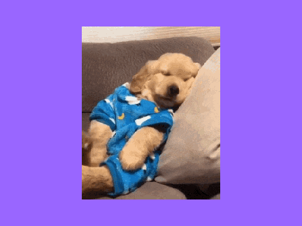 Is this cute?
