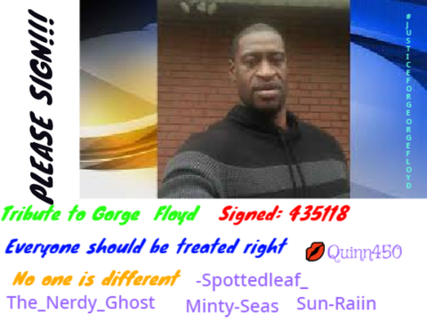 Sign this to Show Your Support to George Floyd remix remix
