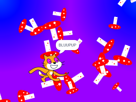 What does the scratch cat eats