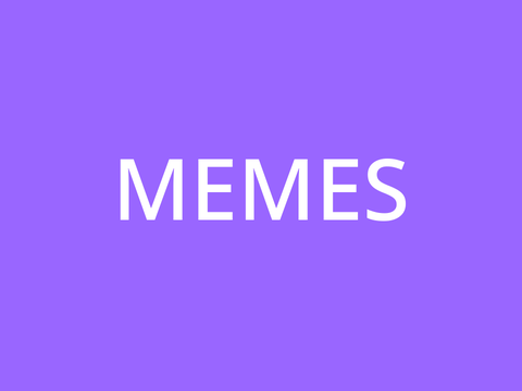 rainamtor memes