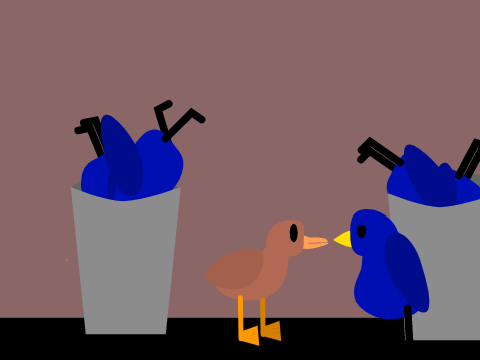 bird and ducks