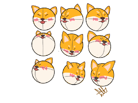 ~Face Physics: Shiba Inu~