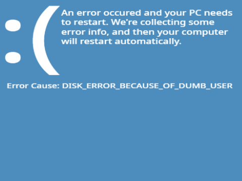 Viruses in a Nutshell