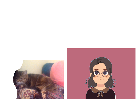 What if my cat was a human