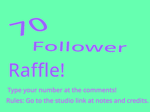 70 follower raffle