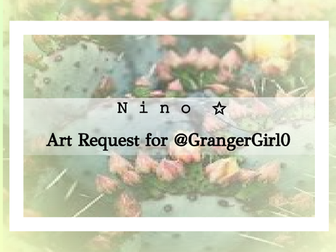 n i n o ✩