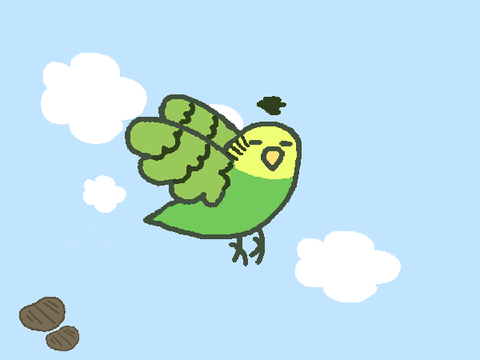 ✧ Beef da budgie