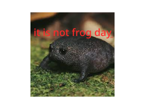 Is it frog day?