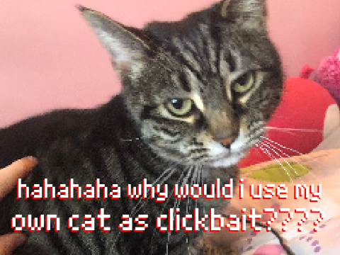 big boi art dump + my cat
