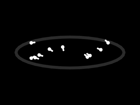 minimalist independent fish behavior