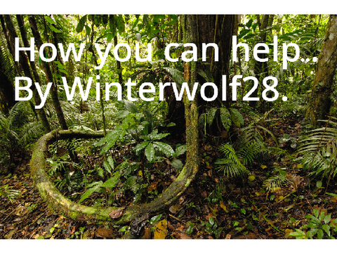 How you can help