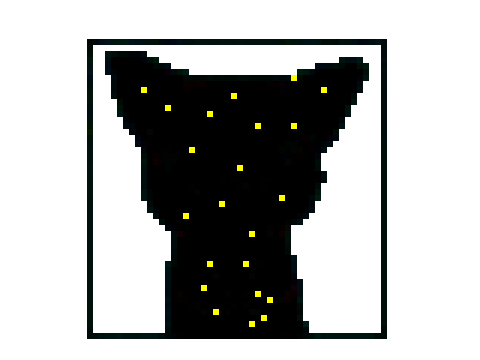star licky