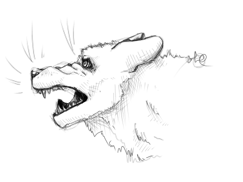 Just sketched a wolf and wanted to share it :)