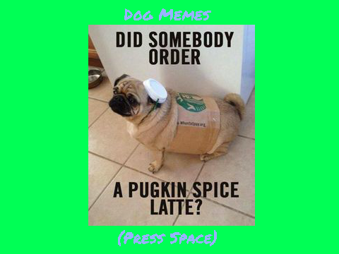 Dog Memes remix