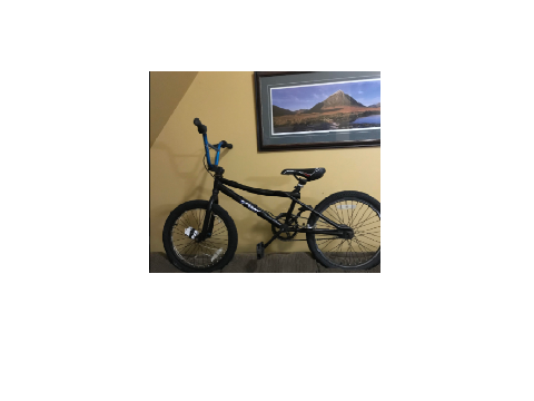 My first BMX (Custume made)