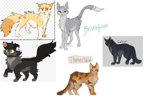 Project thumbnail
