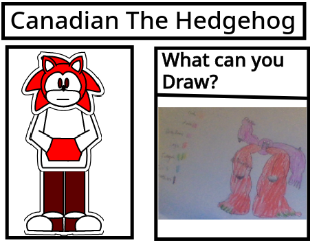 Canadian The Hedgehog (Non-moving sprite in editor)