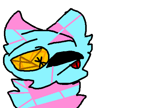 I drew a kitty >:3
