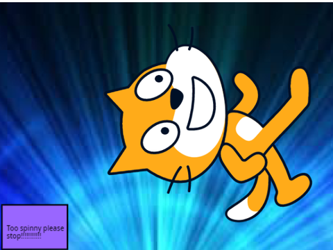 Spinny Cat