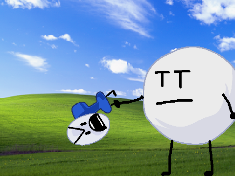 F A N N Y  S P I N