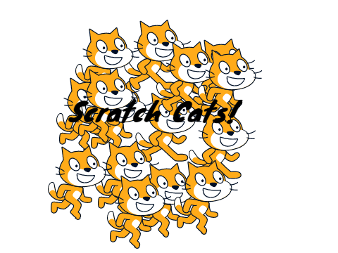 Too many scratch cats!!!