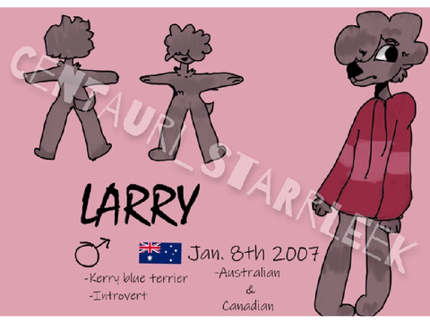 Larry Reference 2020