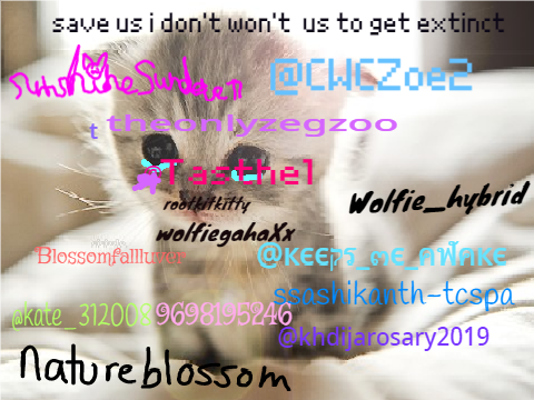 If you love animals remix remix remix