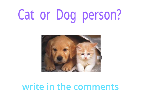 Cat or Dog person?