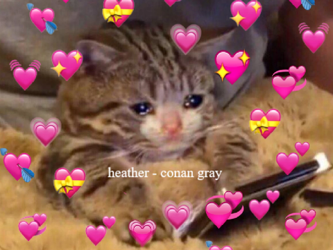 heather - conan gray (cover)