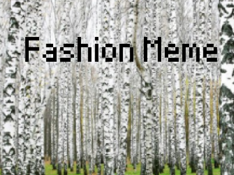 Fashion Meme-Gift for clabuco
