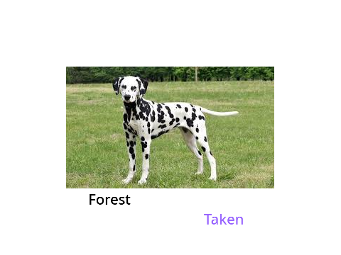 puppies for sale!!!!!!!!!!!!!!!!!!