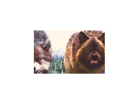 the pack remix