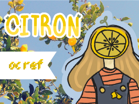 -ˏˋ ☼ citron // oc ref ˎˊ-