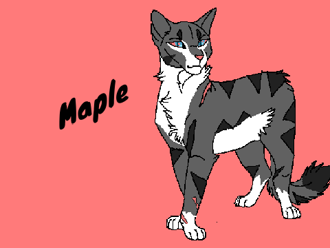 Maple the Warrior Cat