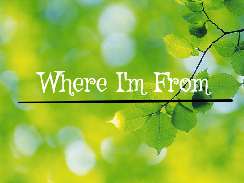 I am from........ (poem)