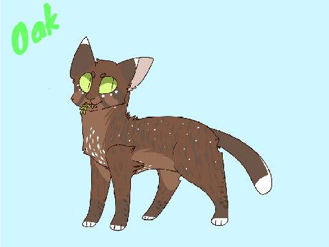 Oak the Warrior Cat
