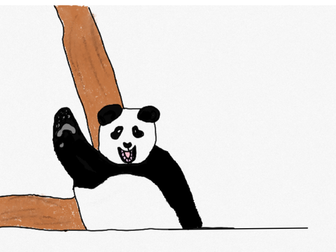 Panda art