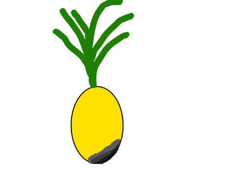 Bad pineapple drawing 