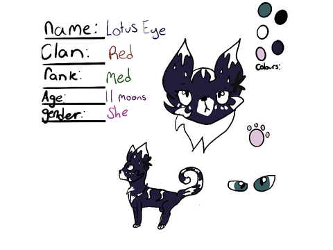 Warrior cat maker!!!