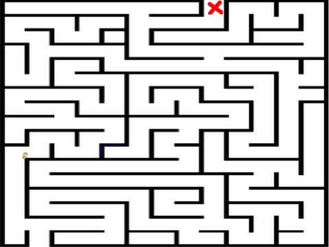 the maze