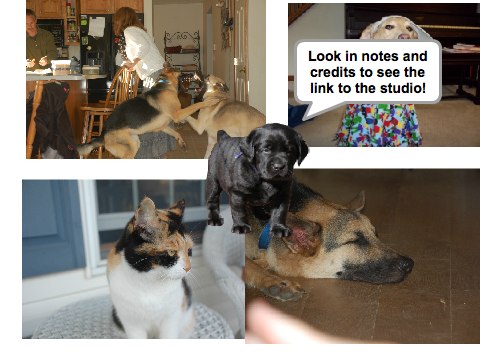Famous Pet Show