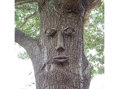 Who Is Tree?