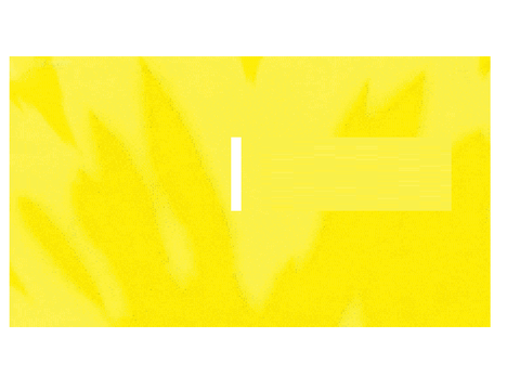 pokemon attacks from pokemon remix-2