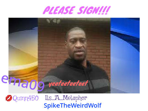 Sign this to Show Your Support to George Floyd  remix