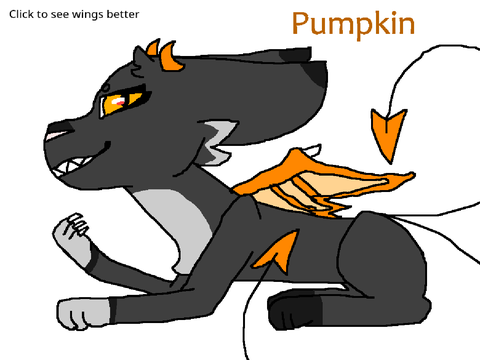 Pumpkin ~ Deep Between Cameo