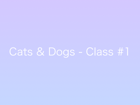 How to Draw Cats and Dogs - Class #1