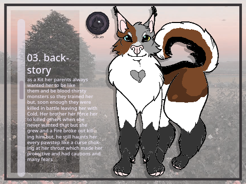 *+:｡.｡FATE OF STARS: bio template｡.｡:+* remix