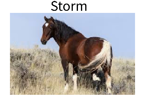 Storm