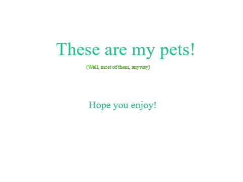My pets!